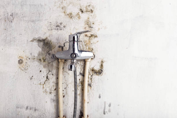 Best Mold Cleaning Services  in Vista Santa Rosa, CA