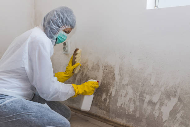 Crawl Space Mold Removal in Vista Santa Rosa, CA
