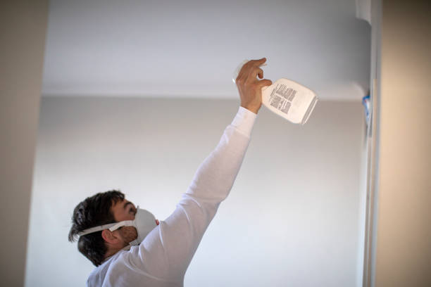 Best Professional Mold Removal  in Vista Santa Rosa, CA