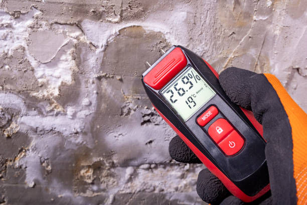 Best Fast Mold Removal  in Vista Santa Rosa, CA